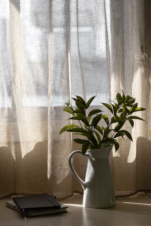 How to Refresh Your Home with Plants: Simple Tips for a Greener Space